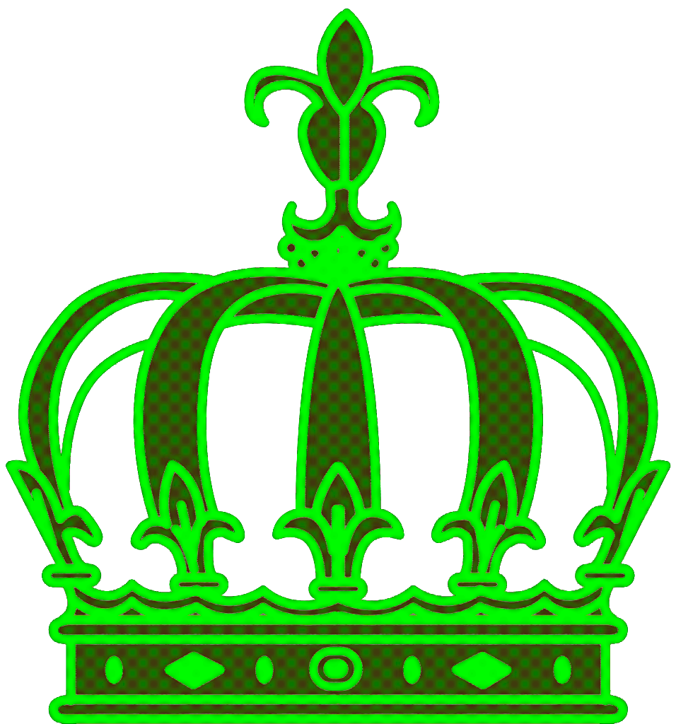 The Bayou Brief’s Challenges, Changes, and Continued Commitments in