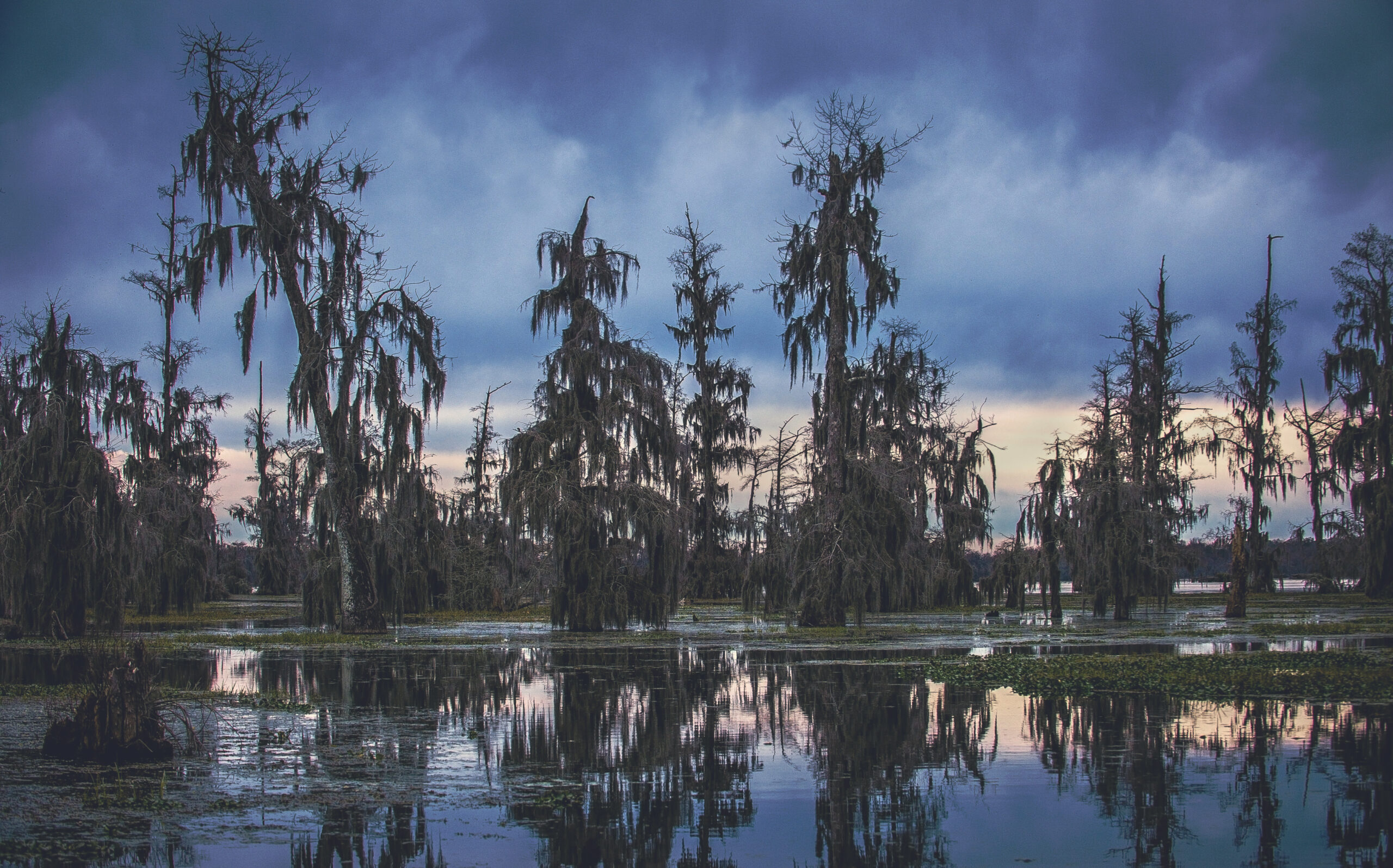 A,Winter,Sunset,On,Moss,Covered,Cypress,Trees,In,Lake